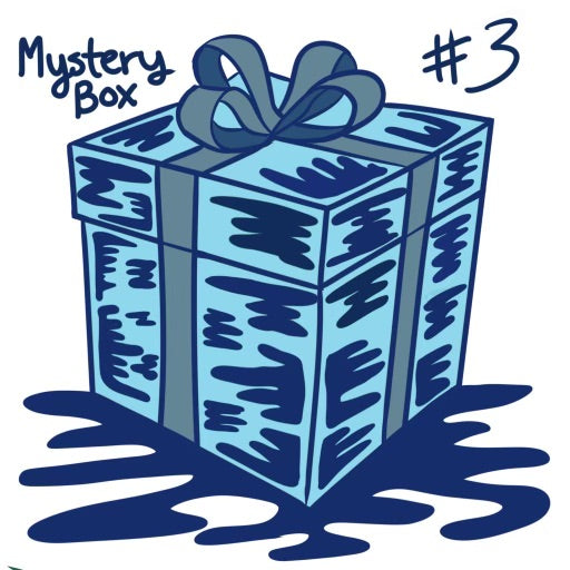 Mystery Box #3 - $300 Value
